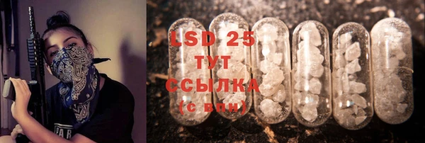 дмт Пересвет
