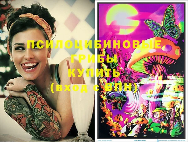 винт Усолье-Сибирское