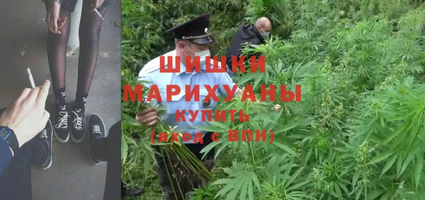 мдпв Кочубеевское