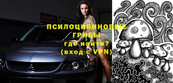 спиды Покровск