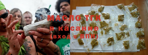 дмт Пересвет