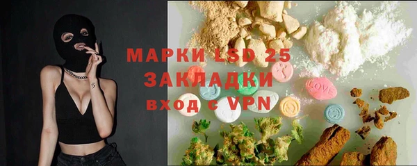 дмт Пересвет