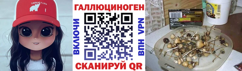 Галлюциногенные грибы MAGIC MUSHROOMS  хочу   Абдулино 